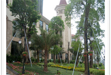 惠州龙光城五期麻豆爱爱视频工程